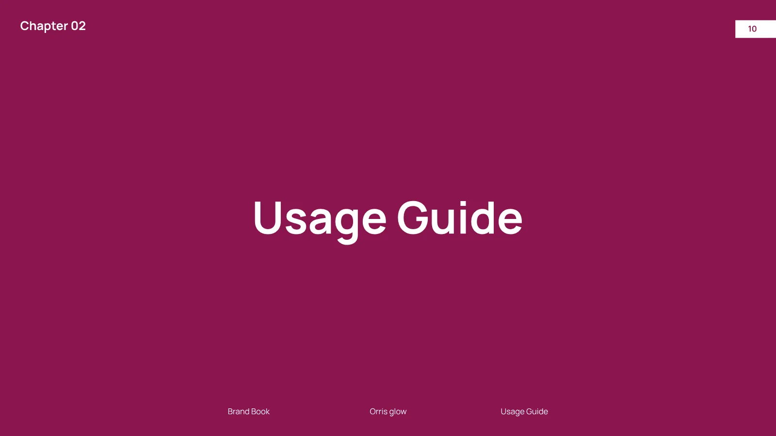 Orris Glow Brand Guidelines presentation, page 11 of 32