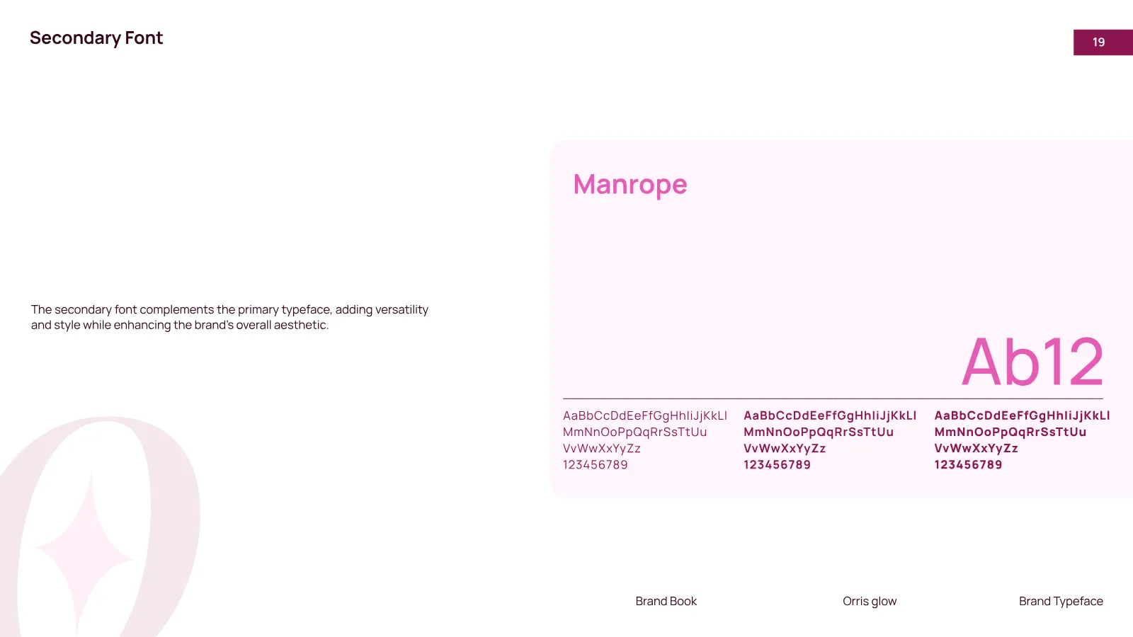 Orris Glow Brand Guidelines presentation, page 20 of 32